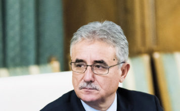 Viorel Ștefan, VP